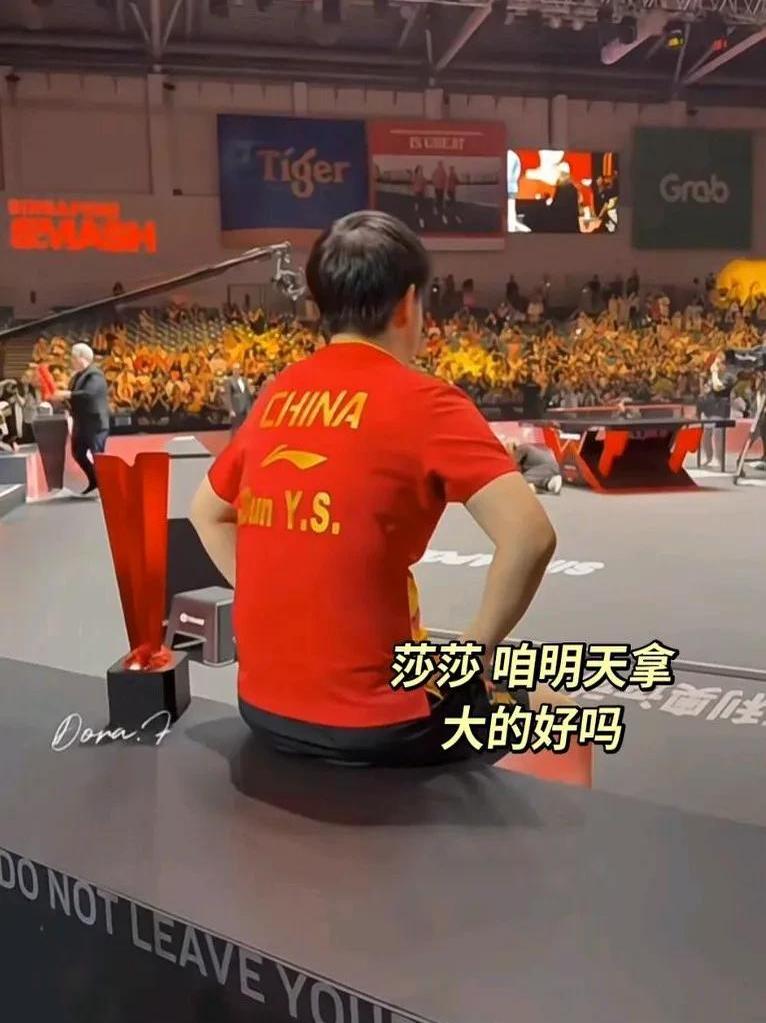 九游电脑版下载-莎拉波娃比赛